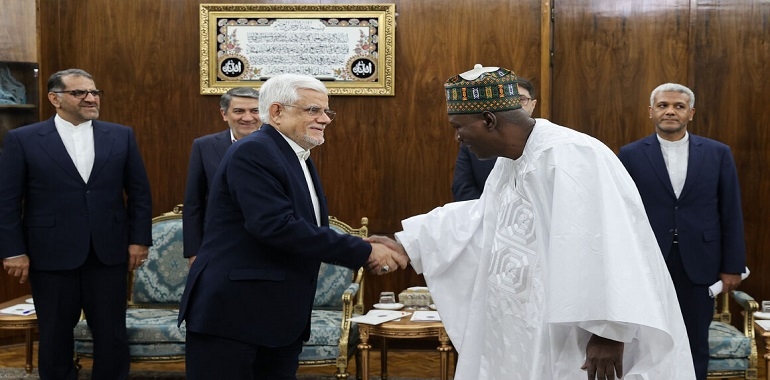 Tehran, Niamey to focus on oil, energy cooperation