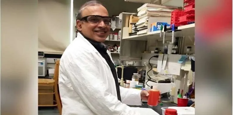 جایگزین‌های پلاستیک با استفاده از پروتئین‌ها و ضایعات لباس