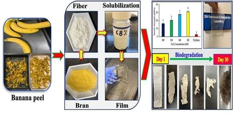 تولید فیلم بسته بندی از پوست موز