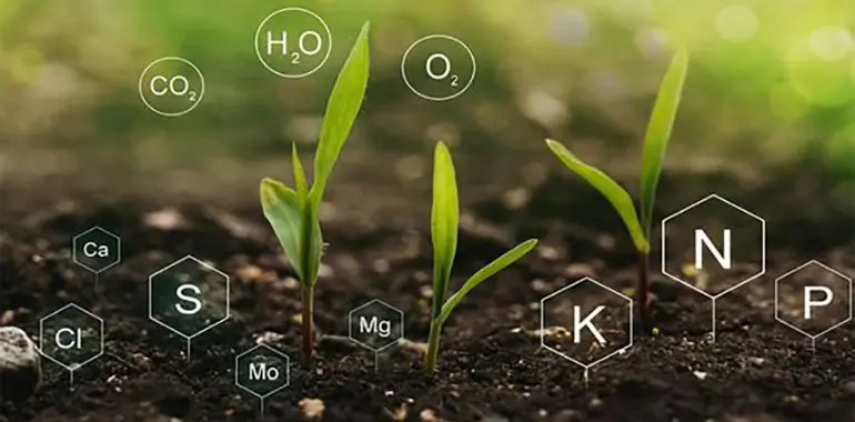 خواب واحدهای اوره ساز ایرانی طولانی می شود؛ آیا قیمت اوره از ۵۰۰ دلار عبور می کند؟